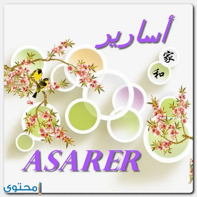 هل اسم اسارير مسلم