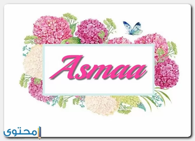 معنى اسم أسماء وصفاته موقع محتوى