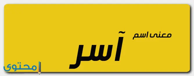 Asser1
