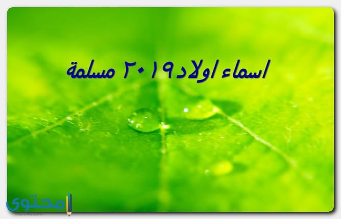 اسماء اولاد مسلمة