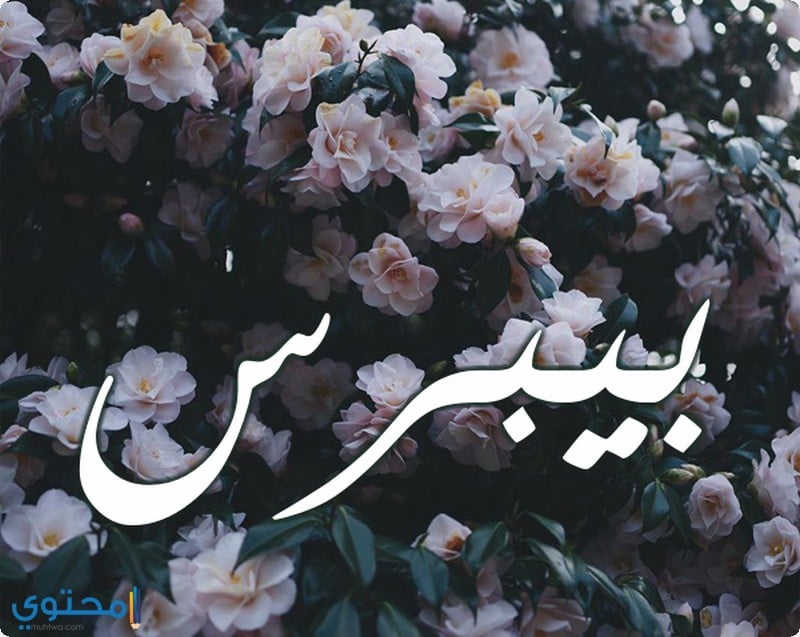 صور اسم بيبرس
