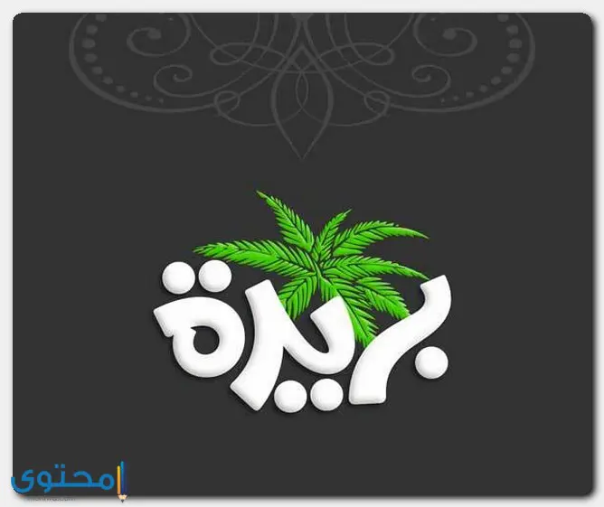 معنى اسم بريدة