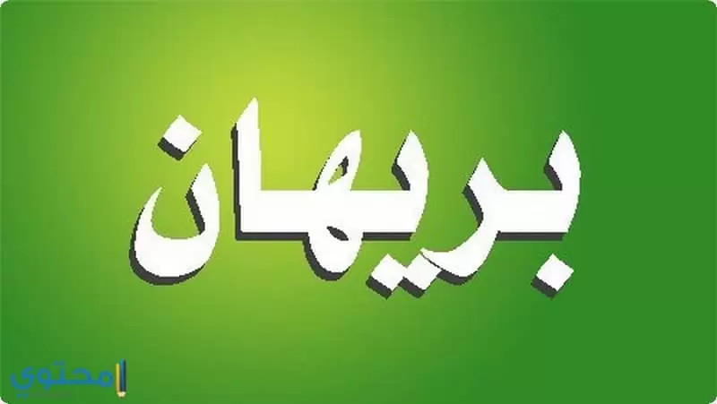 معنى اسم بري