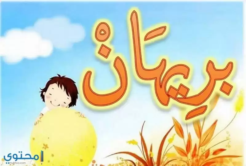 معنى اسم بريهان وصفاته وحكم التسمية (Brihan)