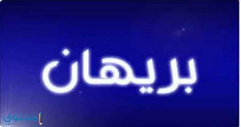 افضل صور اسم بريهان