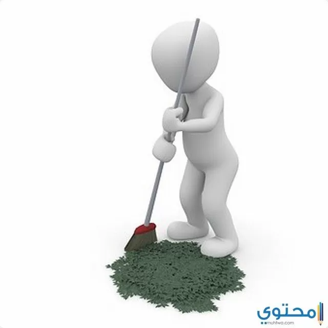 Cleanliness1 1