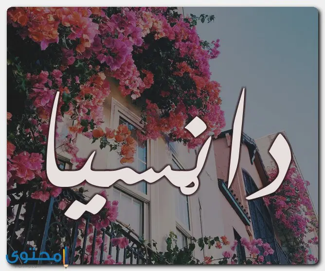 معنى اسم دانسيا وصفات حاملة الاسم Dansia