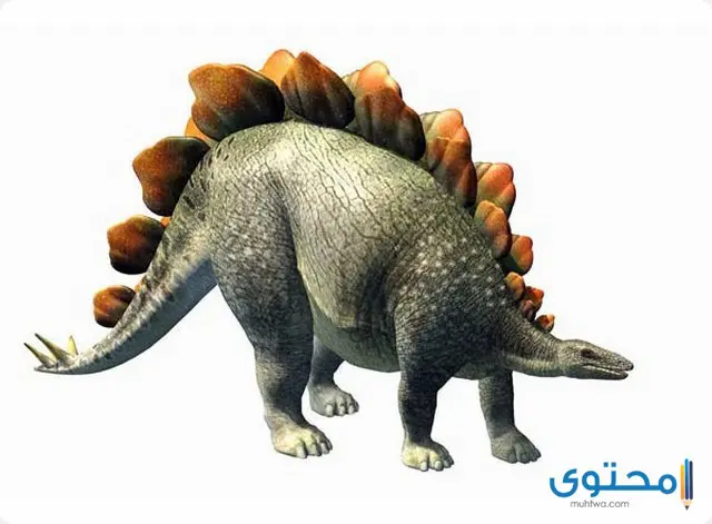 الديناصور ستيجوسورس