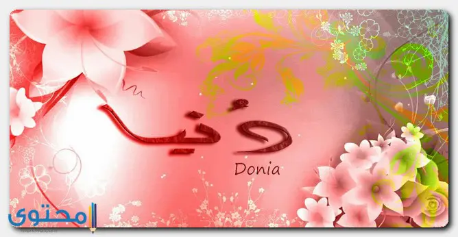 معنى اسم دنيا Donia و14 من صفات حاملة هذا الاسم