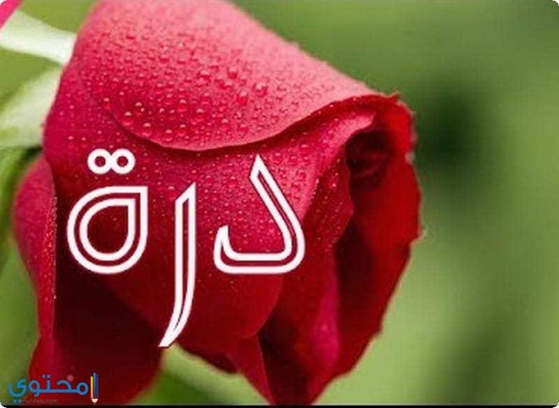 اشهر من عرفوا باسم دُرة