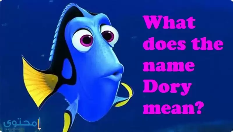 Dory01