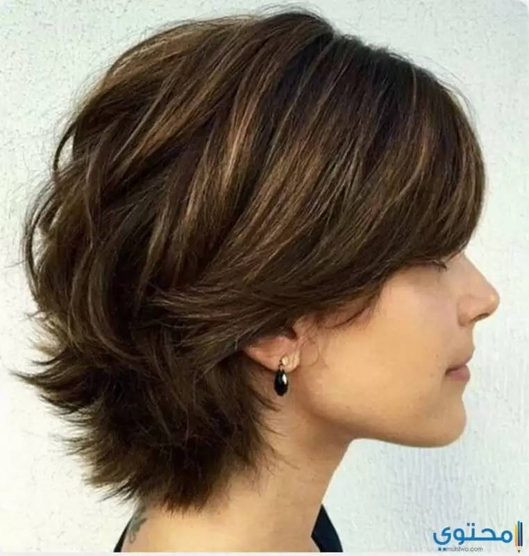 ØµÙˆØ± Ù‚ØµØ§Øª Ø§Ù„Ø´Ø¹Ø± Ø§Ù„Ù‚ØµÙŠØ± Ù„Ù„Ø¨Ù†Ø§Øª 2021 Ø£Ø­Ø¯Ø« ØªØ³Ø±ÙŠØ­Ø§Øª Ø´Ø¹Ø± Ù…ÙˆÙ‚Ø¹ Ù…Ø­ØªÙˆÙ‰
