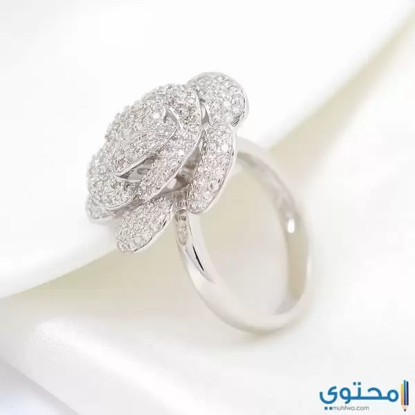 خواتم فضة