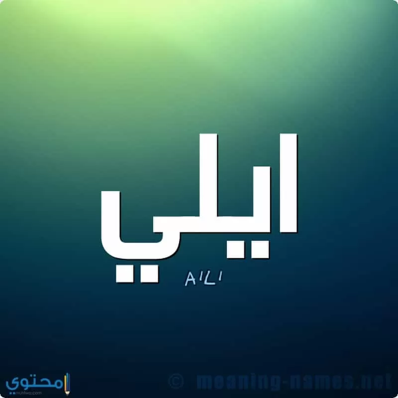 معنى اسم Elie