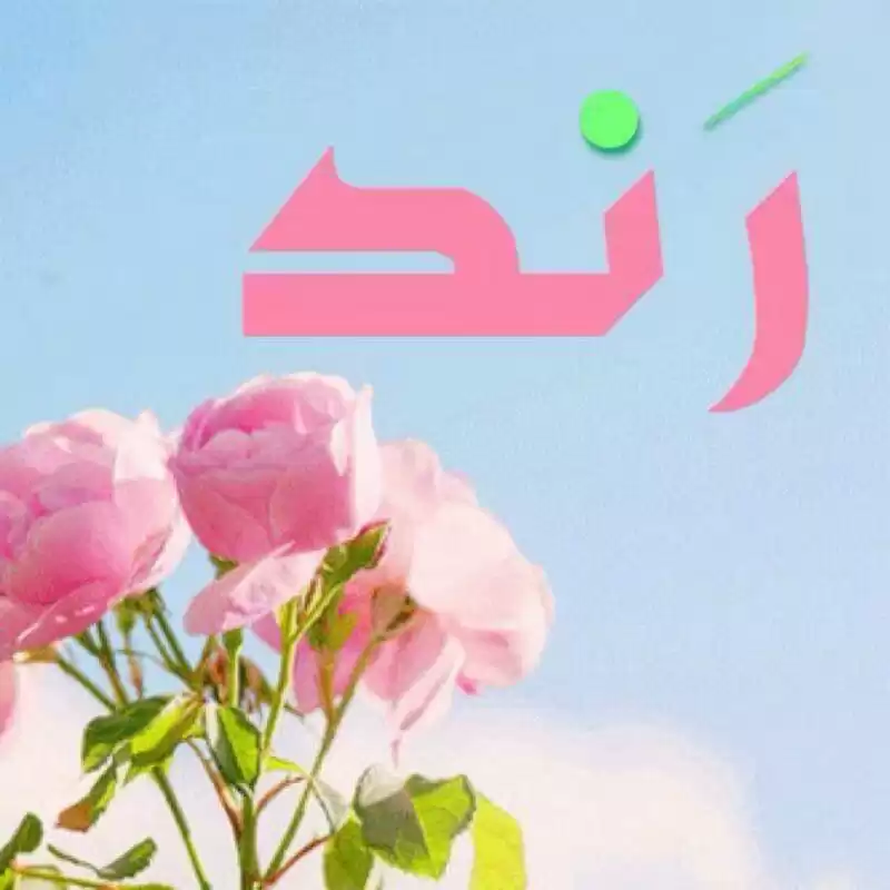معنى اسم رند