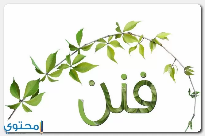 معنى اسم فنن
