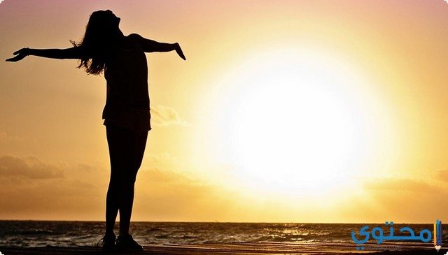 أشهر أقوال الفلاسفة عن الحياة