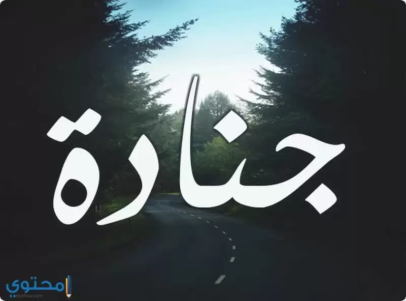 معنى اسم جنادة Gnadh بالتفصيل