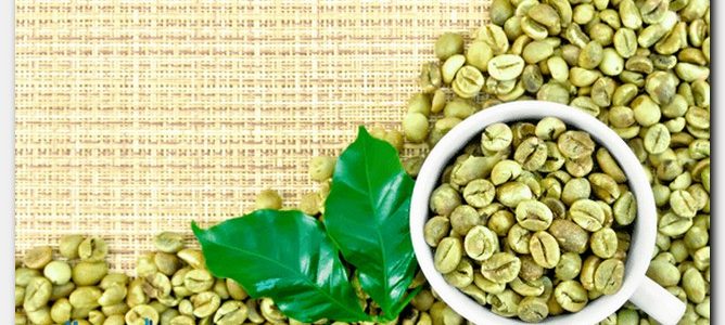 فوائد وأضرارالقهوة الخضراءGreen Cof Green-Coffee-Bean4-668x300