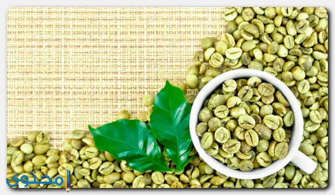 فوائد القهوة الخضراء 
