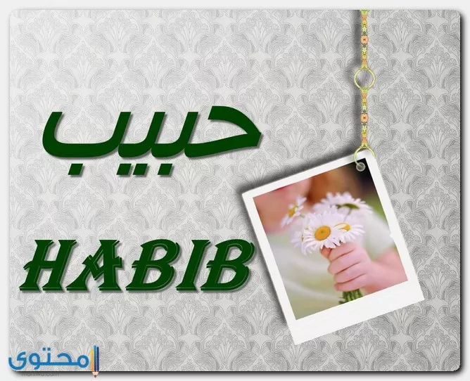 دلع اسم حبيب