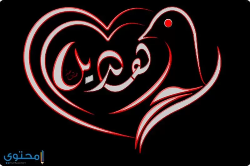 الاصل في تسمية هديل