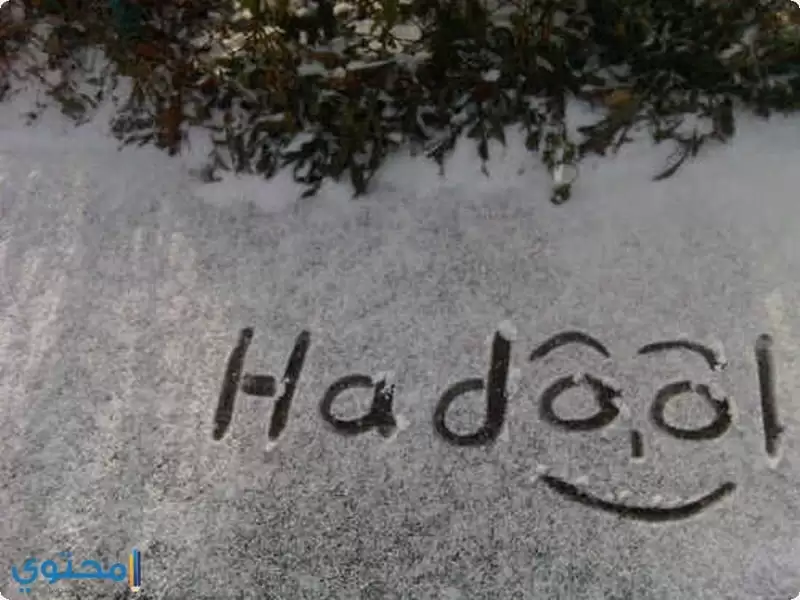 معنى اسم Hadeel