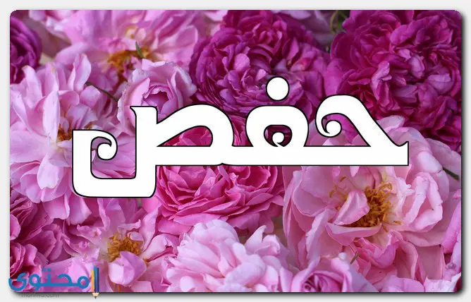 اسم حفص