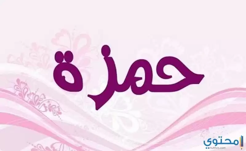 معنى اسم حمزة