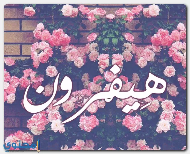 معنى اسم هيفرون