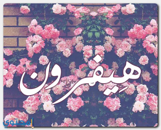 اسم هيفرون