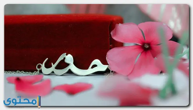 دلع اسم حور