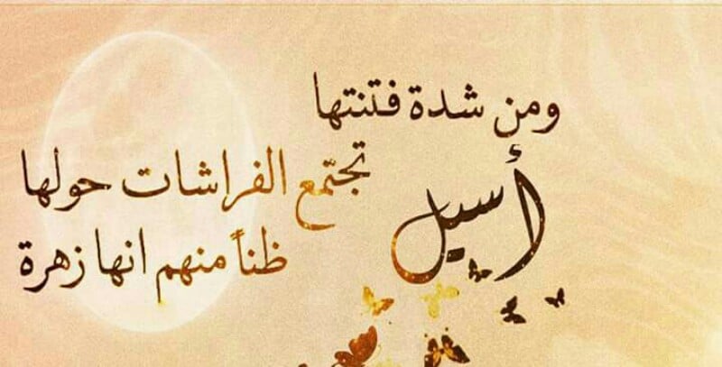 معني اسم اسيل وشخصيتها بالتفصيل Aseel موقع محتوى