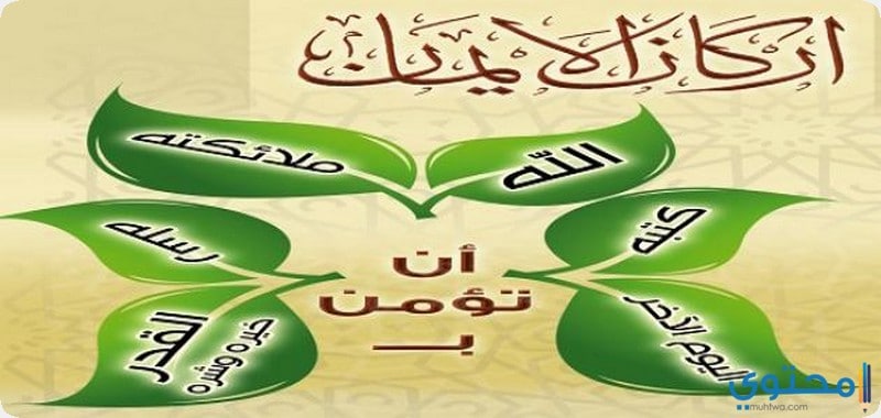 عدد اركان الاسلام