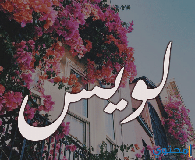  اسم لويس
