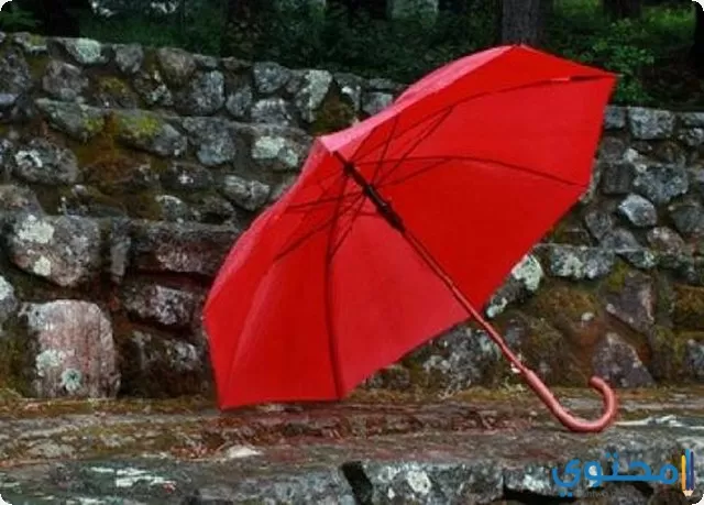 المظلات في المنام