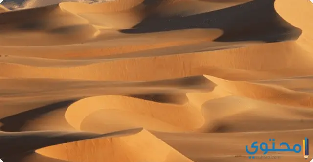 تفسير رؤية الرمل في المنام لابن سيرين والعصيمي