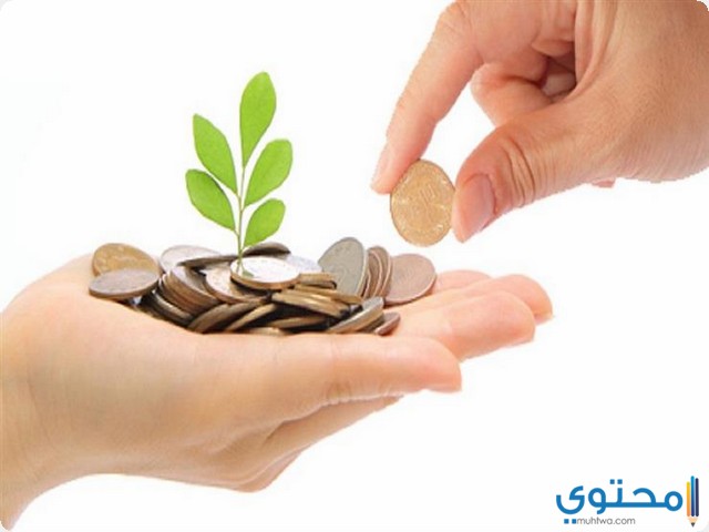 تفسير رؤية حلم الصدقة والزكاة في المنام 1 الزكاة في المنام