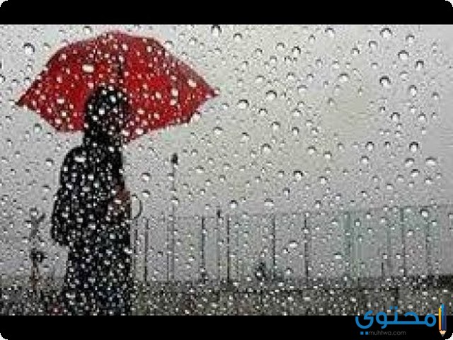 رؤية المطر في المنام للمتزوجة