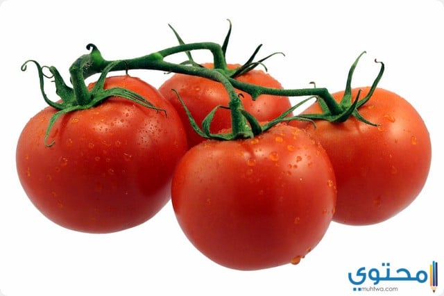 تفسير الطماطم في المنام موقع محتوى