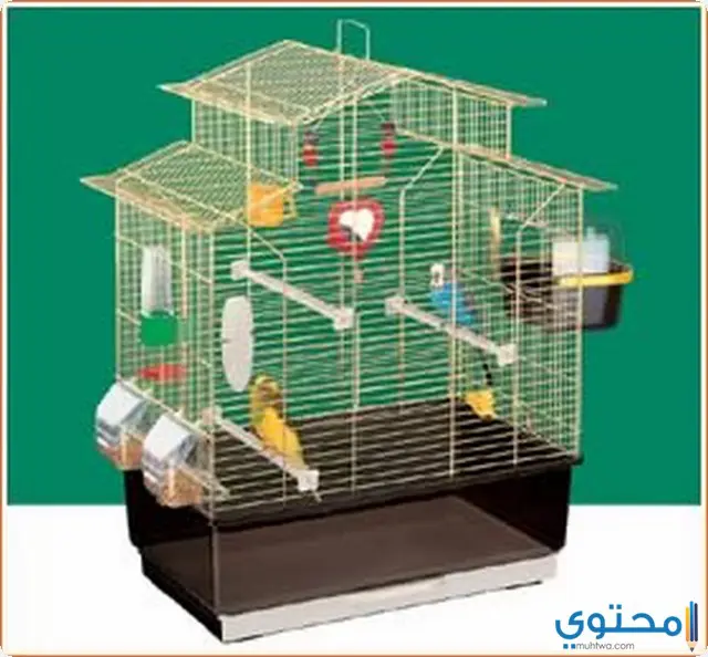  قفص الطيور بالمنام