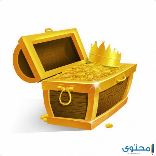 تفسير رؤية حلم الكنز في المنام 1 حلم الكنز في المنام