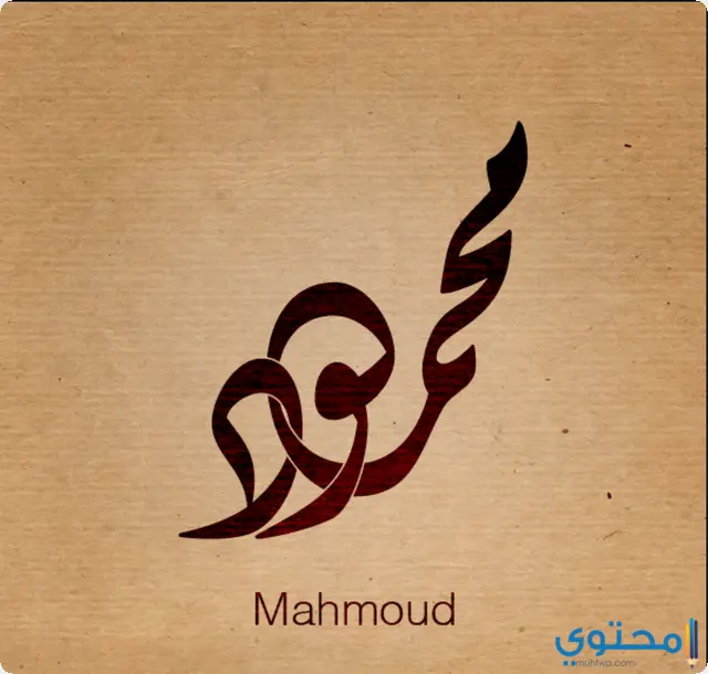 اسم محمود في المنام