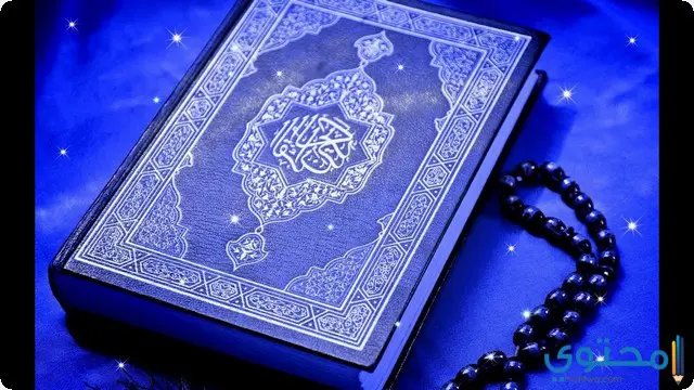 أحلام القرآن والسنة في المنام