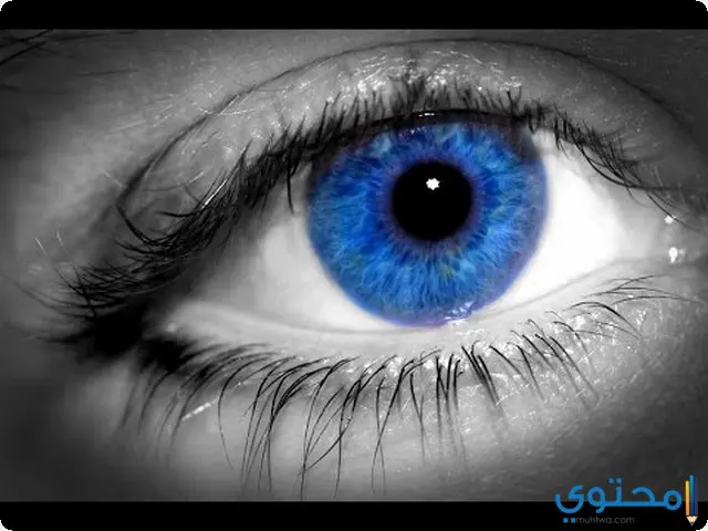  رؤية العيون الزرقاء