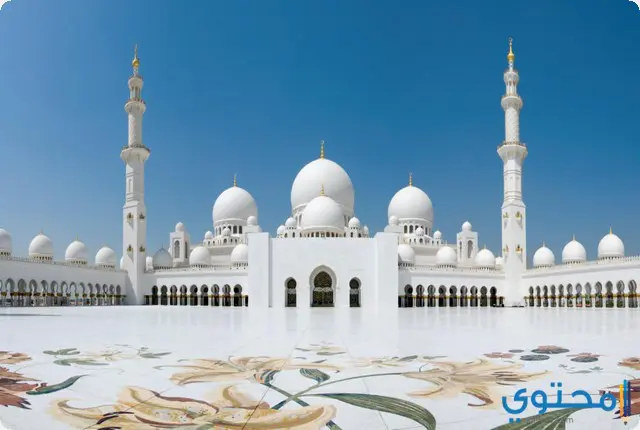 المسجد في المنام للرجل