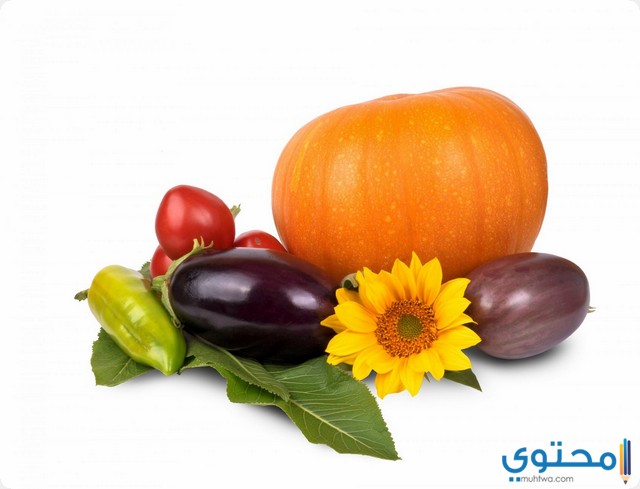 الباذنجان في المنام