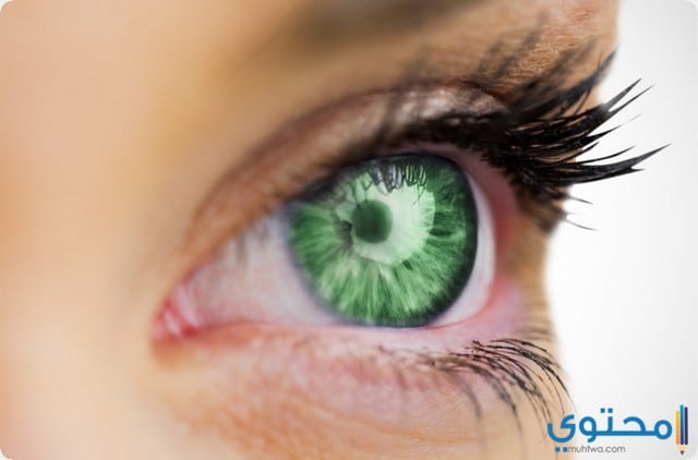 أهم 11 تفسير عن رؤية العيون الخضراء في المنام
