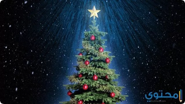 شجرة عيد الميلاد في المنام