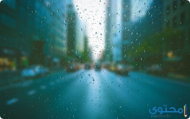 معنى حلم المطر في المنام موقع محتوى